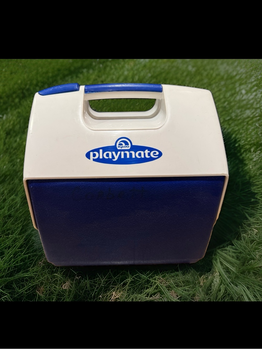 Playmate igloo cooler: vintage: blue & white: made in USA 🇺🇸